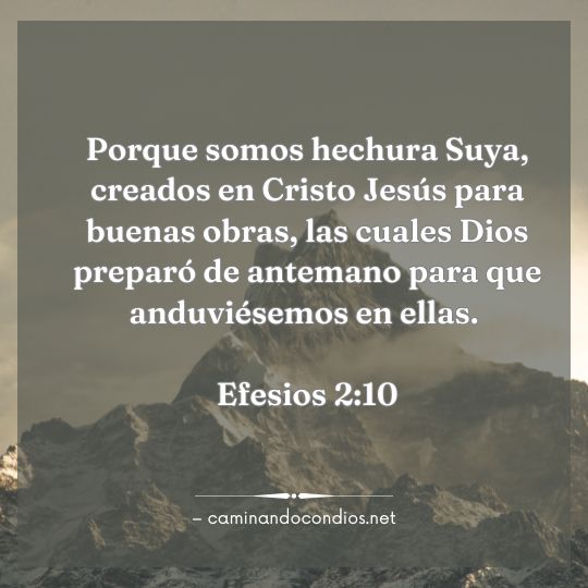 Gotas de sabiduría #211: Para las buenas obras