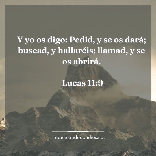 Gotas de sabiduría #210: Pedir con fe