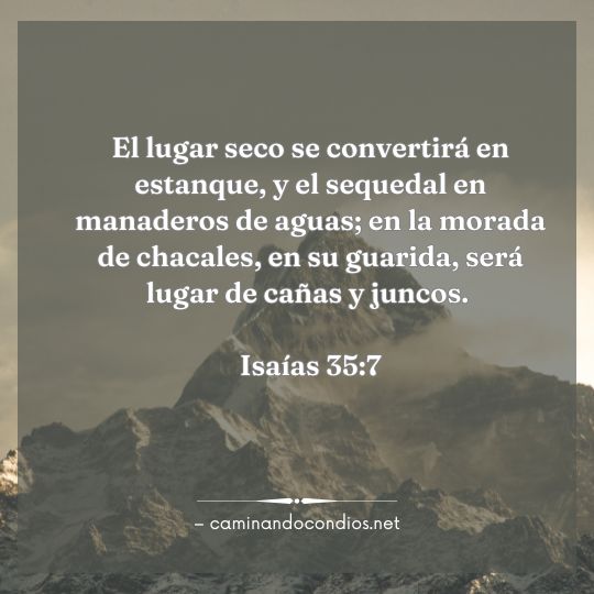 Gotas de sabiduría #216: Del desierto al manantial