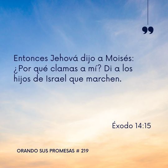 Orando la promesa #219: ¿Quedarse o Avanzar?