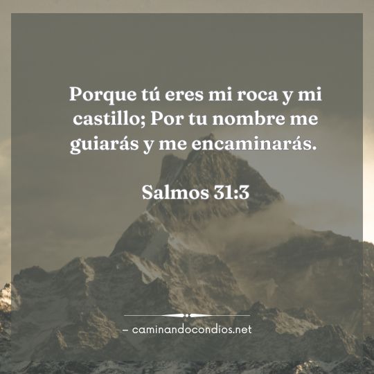 Gotas de sabiduría #219: Una Perspectiva Más Alta