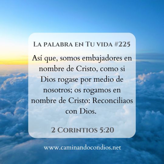 La Palabra en Tu Vida#225: Construyendo Puentes