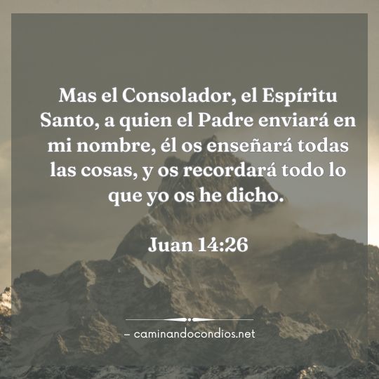 Gotas de sabiduría #225: Siguiendo a Jesús