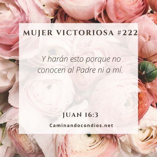 Mujer victoriosa #222: Perseguir a Jesús