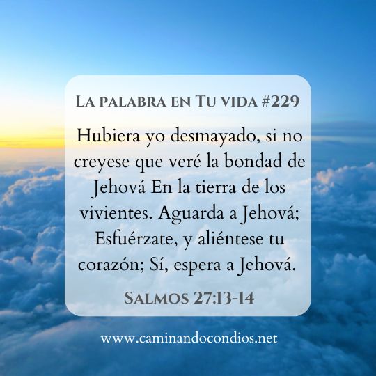 La Palabra en Tu Vida#229: Oración No Respondida