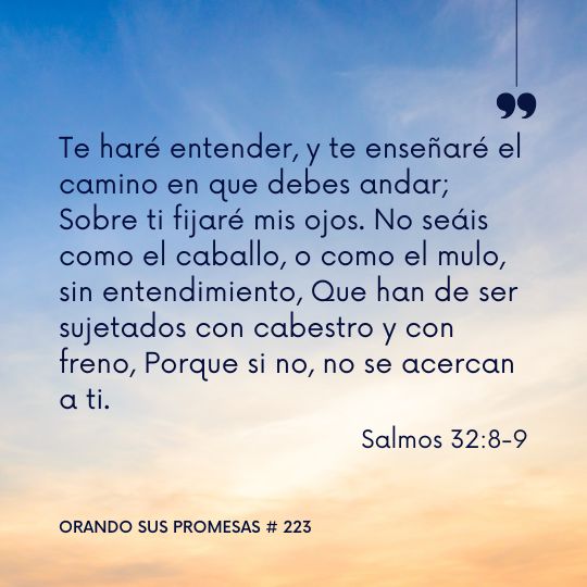 Orando la promesa #223: Consuelo en Su Dirección