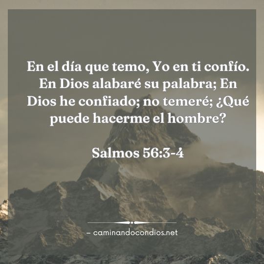 Gotas de sabiduría #226: Una Decisión Deliberada