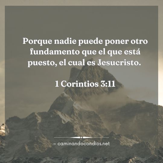 Gotas de sabiduría #231: Un Fundamento Seguro