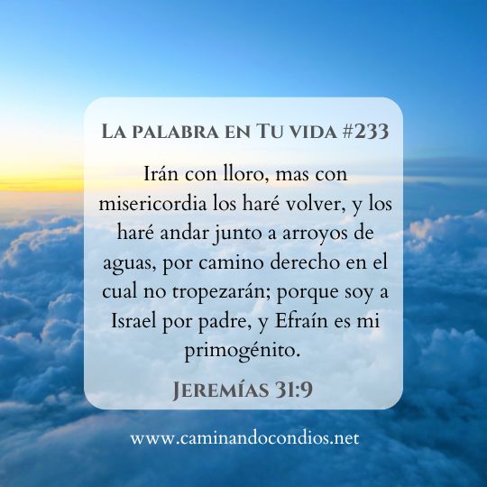 La Palabra en Tu Vida#233: En medio de altos y bajos