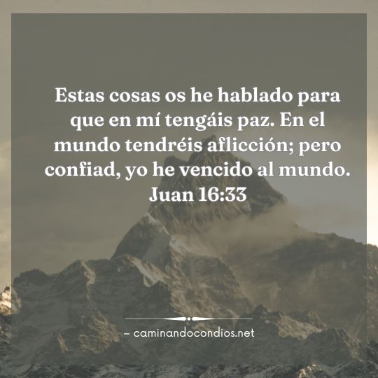 Gotas de sabiduría #235: La paz que vence