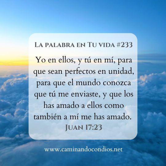 La Palabra en Tu Vida#233: Deja de discutir