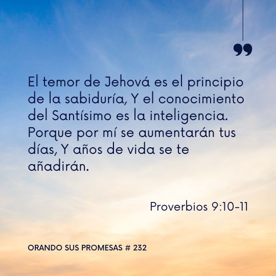 Orando la promesa #232: Obtén la sabiduría de Dios
