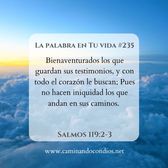 La Palabra en Tu Vida#235: Cuidado con las consecuencias