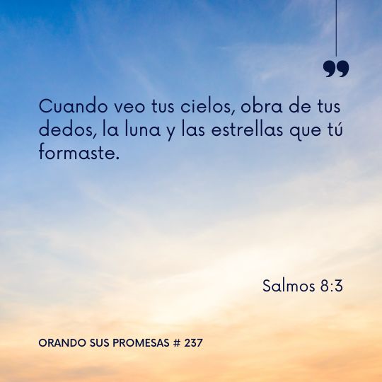 Orando la promesa #237: Búscalo con asombro