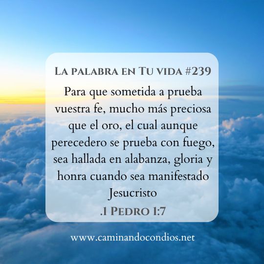 La Palabra en Tu Vida#239: Refinamiento
