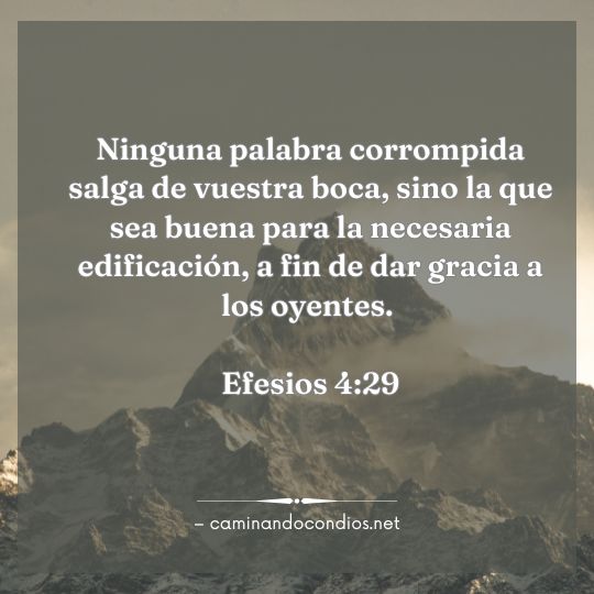 Gotas de sabiduría #245: Habla con fe
