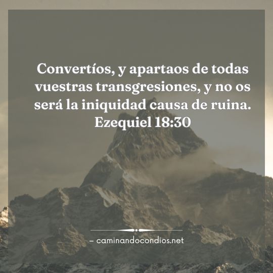 Gotas de sabiduría #239: Da el paso hacia Cristo