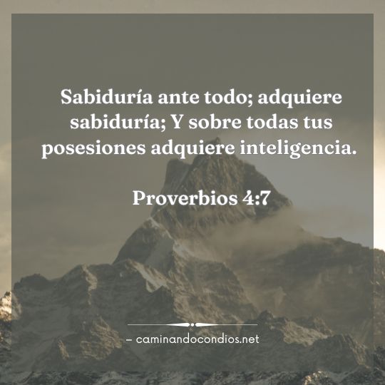 Gotas de sabiduría #243: Busca Su sabiduría
