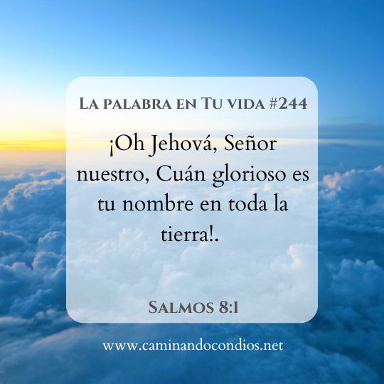 La Palabra en Tu Vida#244: En Su nombre