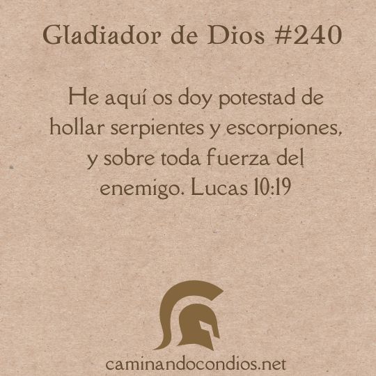 Gladiador de Dios#240: Tienes la ventaja