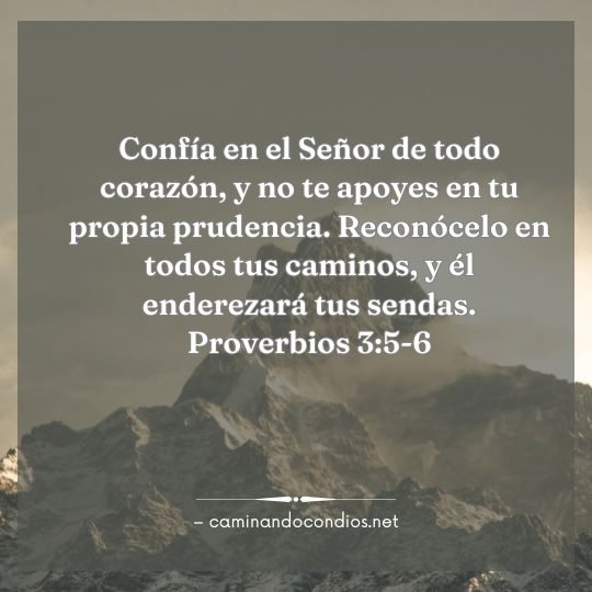 Gotas de sabiduría #252: Confianza de todo corazón