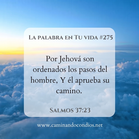 La Palabra en Tu Vida#274: El galardón de la guía de Dios